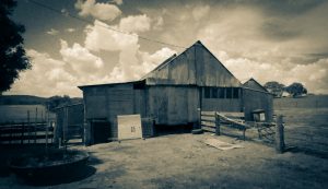 Image of Wool Shed - Horse Park Homestead - Heritage